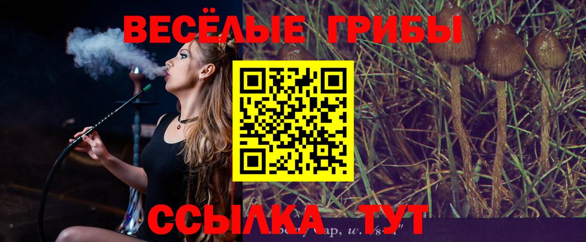 Псилоцибиновые грибы мухоморы  Вход с VPN  Артём 